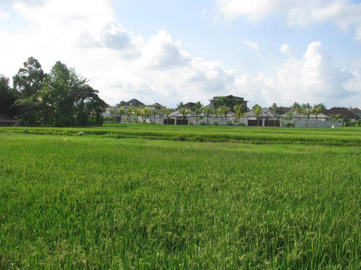 Pondok Mesari House อูบุด ภายนอก รูปภาพ