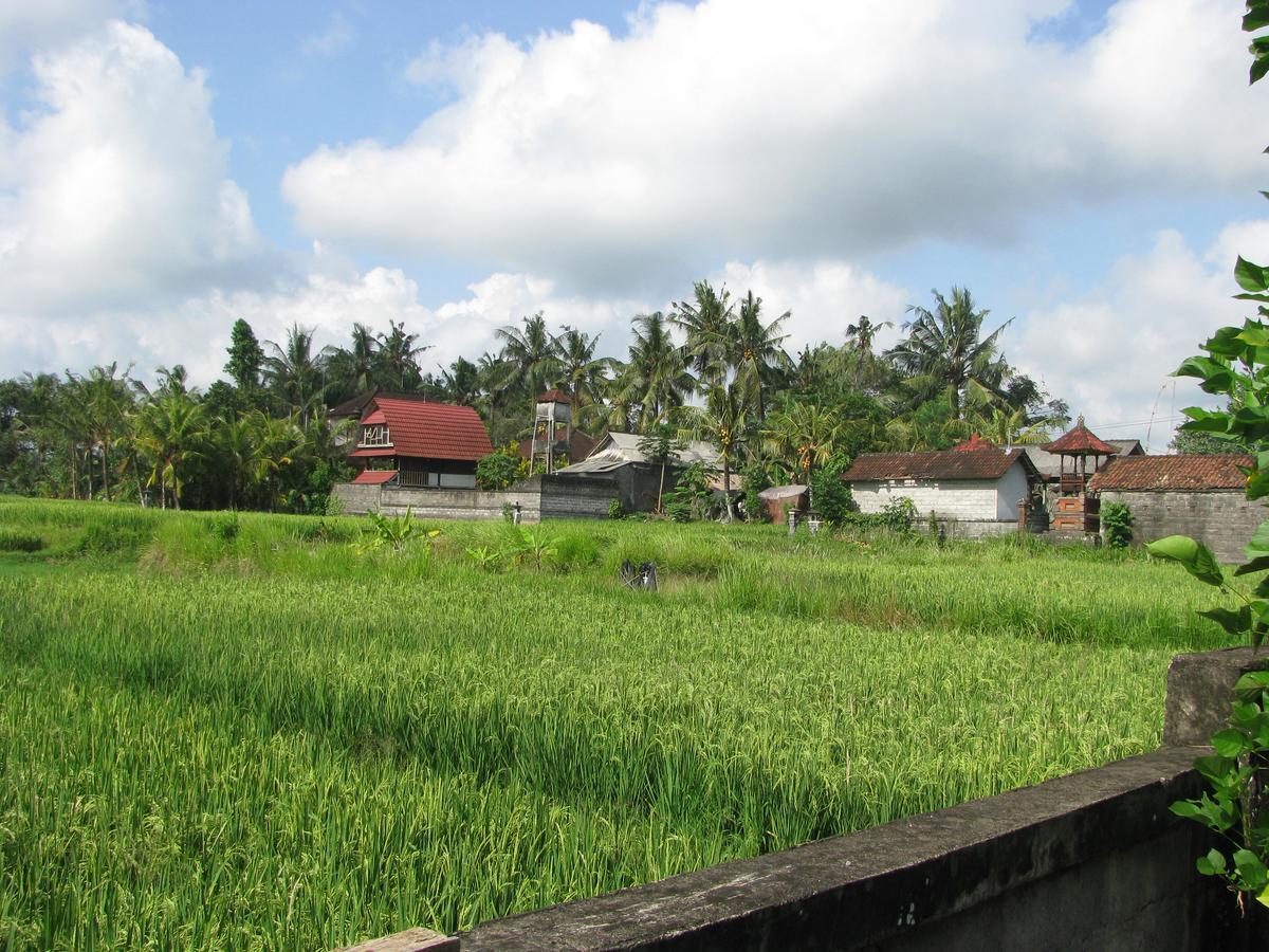 Pondok Mesari House อูบุด ภายนอก รูปภาพ